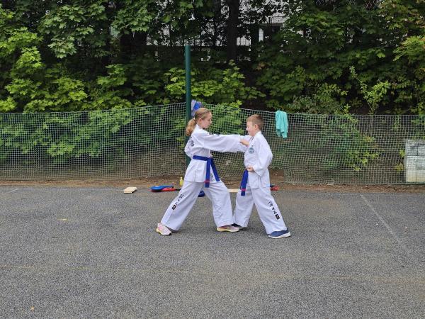 Taekwondo na Mladence